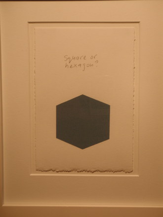 Square or Hexagon, Copyright 2010, Alice Shaw